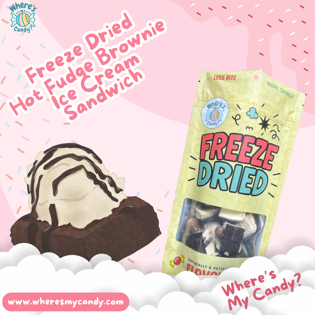 Freeze Dried Hot Fudge Brownie Ice Cream Bites