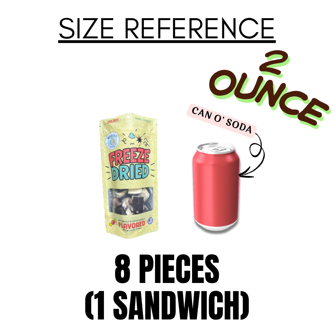 Freeze Dried Hot Fudge Brownie Ice Cream Bites