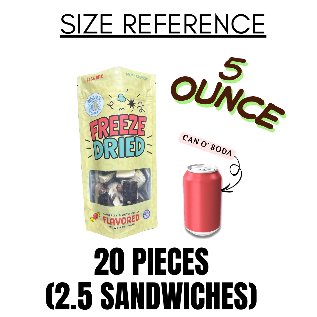 Freeze Dried Hot Fudge Brownie Ice Cream Bites