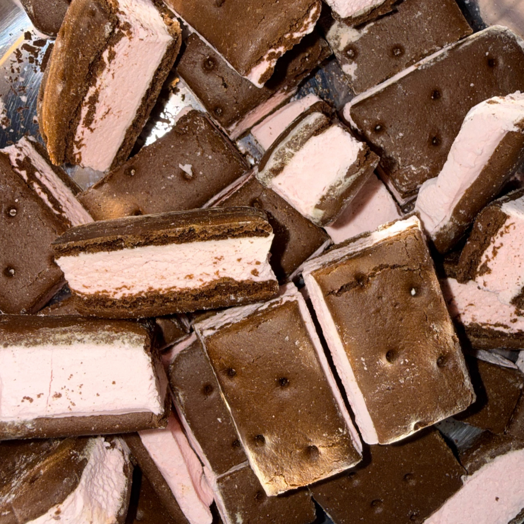 Freeze Dried Peppermint Ice Cream Sandwich Bites