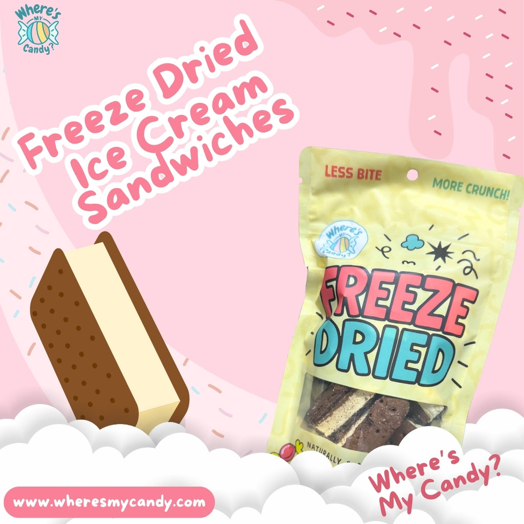 Freeze Dried Vanilla Ice Cream Sandwich Bites