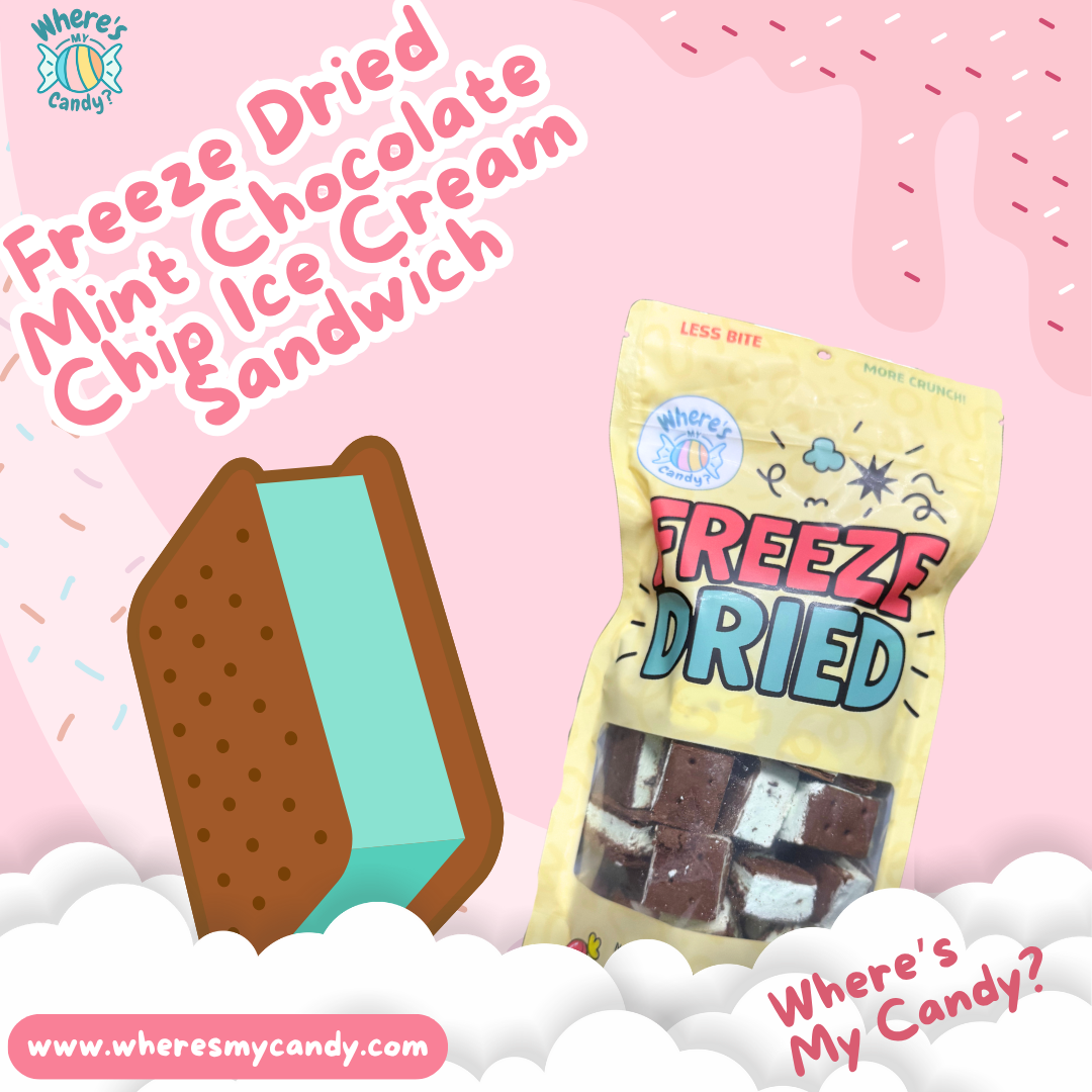 Freeze Dried Mint Chocolate Chip Ice Cream Sandwich Bites