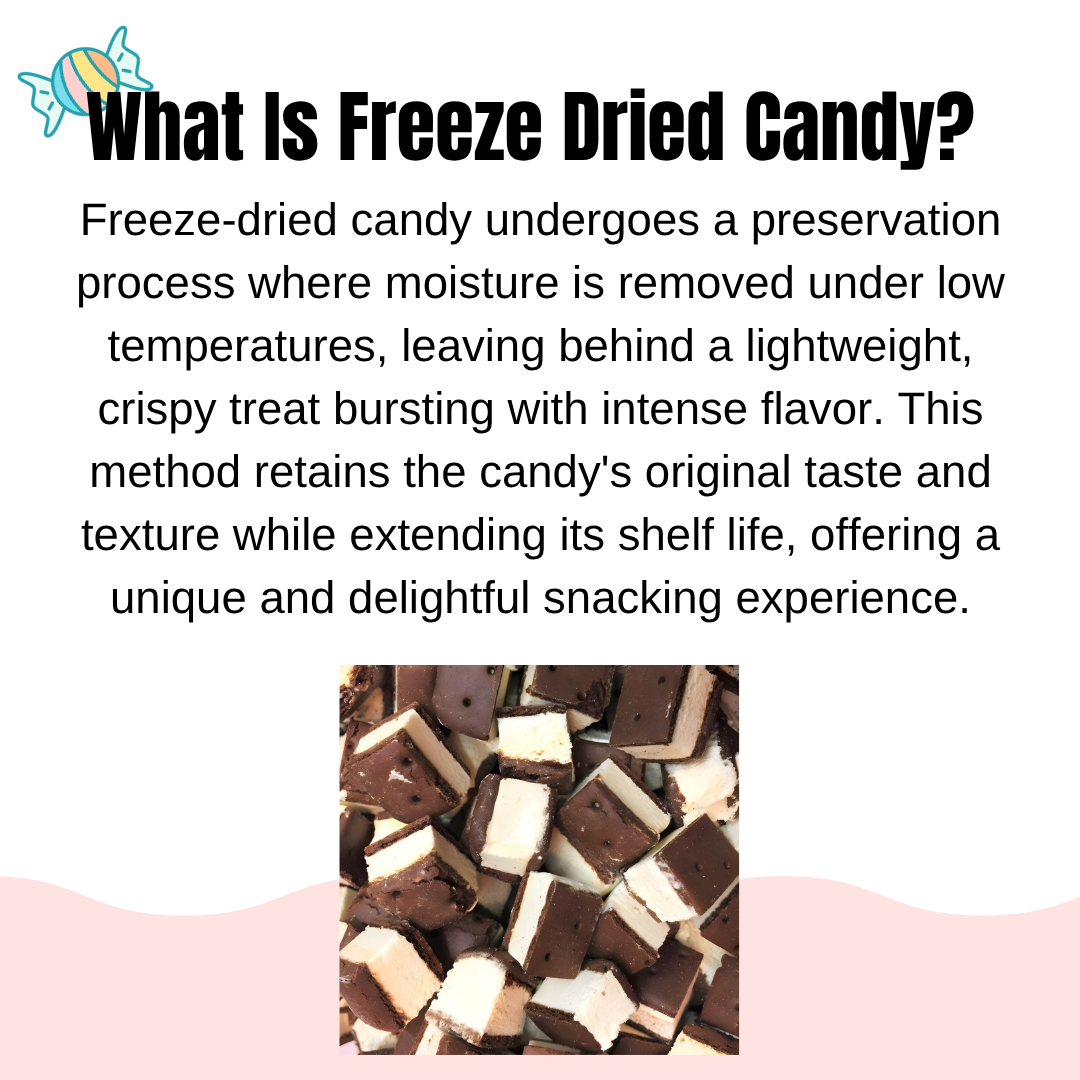 Freeze Dried Vanilla Ice Cream Sandwich Bites