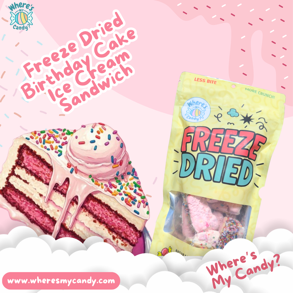 Freeze Dried Birthday Cake Ice Cream Bites